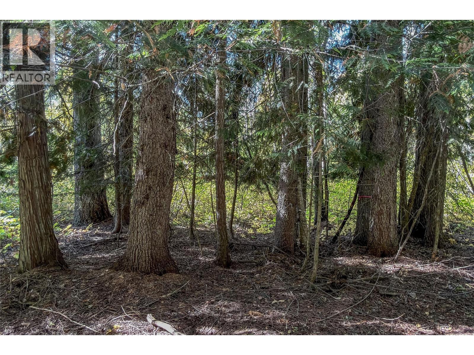 1506 HARTLEY Road - Image 48