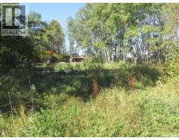503 Main Street, Torch River Rm No  488, SK S0J2K0 Photo 44