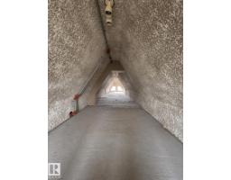 18929 99a Av Nw, Edmonton, AB T5T3M9 Photo 44