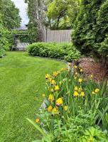 125 Stoney Lake Bay, Winnipeg, MB R3W1L1 Photo 44