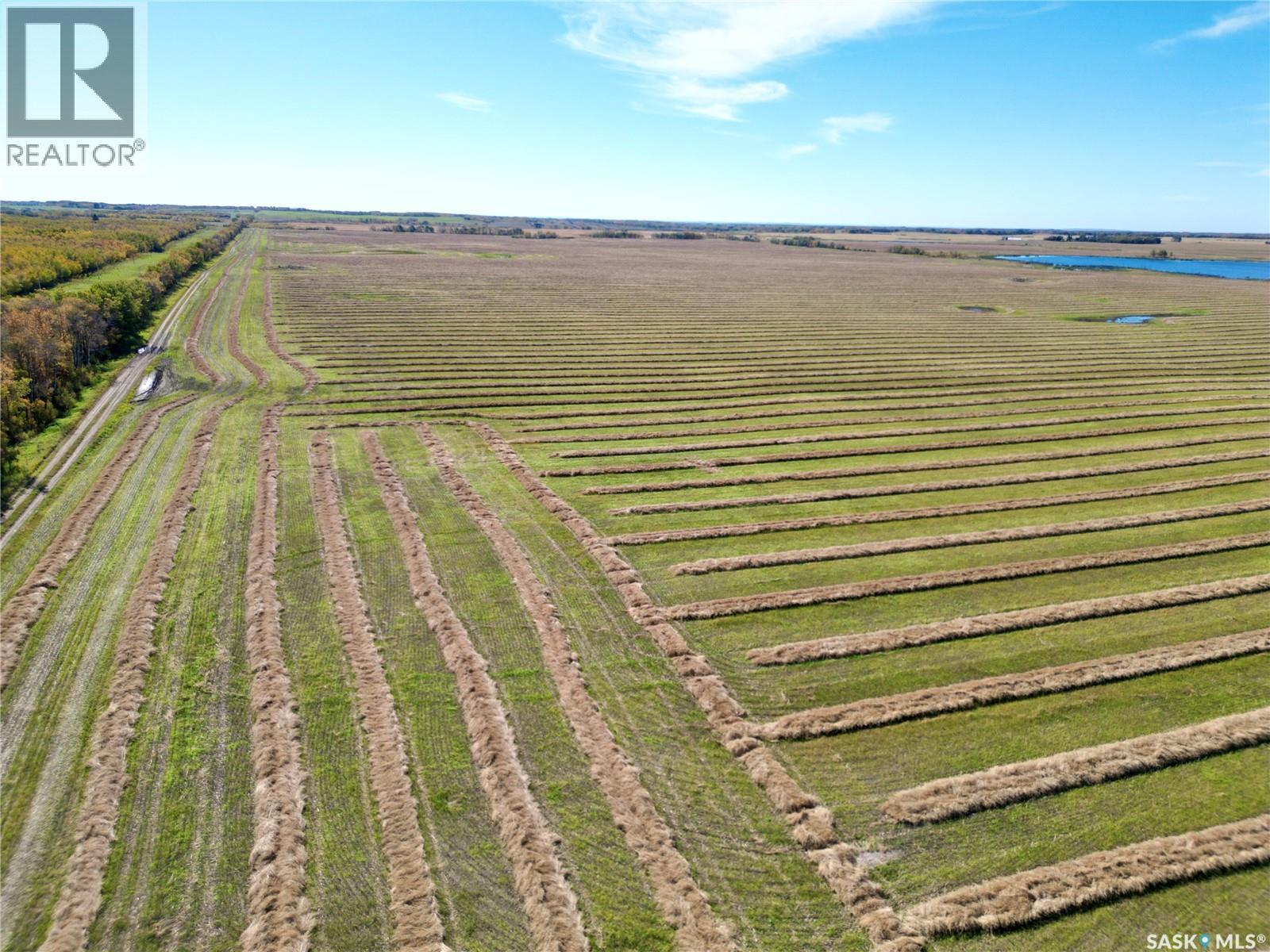 HILDEBRAND FARM LAND, Round Hill Rm No. 467 — photo 9