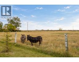 245219 Range Road 271, Rural Rocky View County, AB T1Z0V9 Photo 42