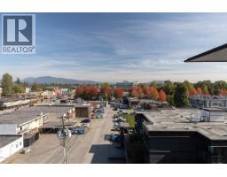 602 22335 Mcintosh Avenue, Maple Ridge, BC V2X3C2 Photo 17