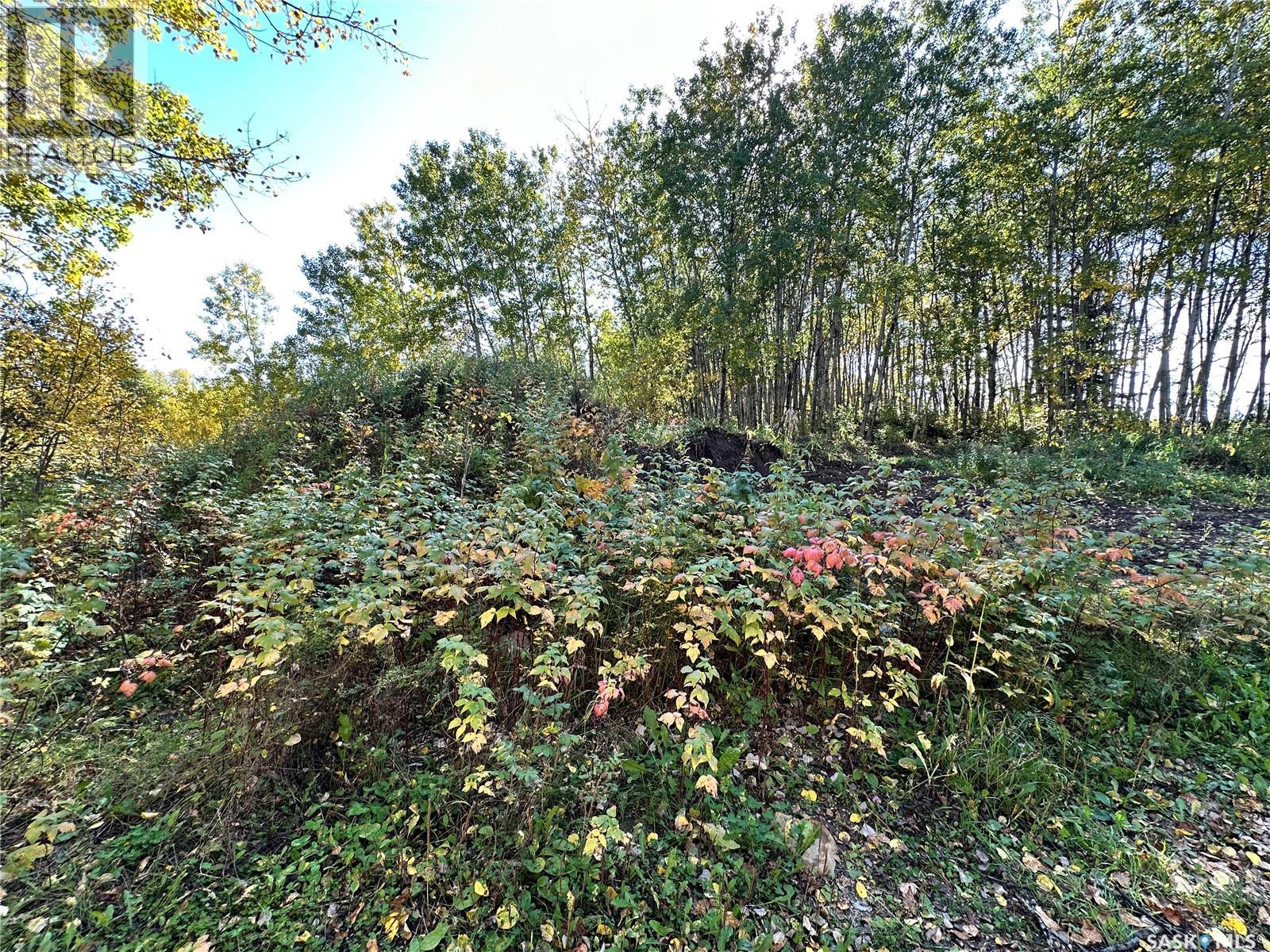 J&M Christianson Acreage, Hazel Dell Rm No. 335 — photo 6