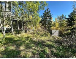 J&m Christianson Acreage, Hazel Dell Rm No  335, SK S0A3B0 Photo 65