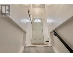 65 Walter Avenue, Newmarket, ON L3Y2T4 Photo 37