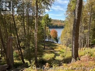 110 Woodbine Lane - 2