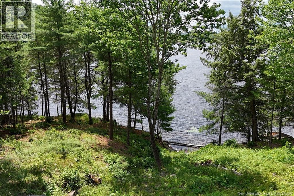 110 Woodbine Lane - 41