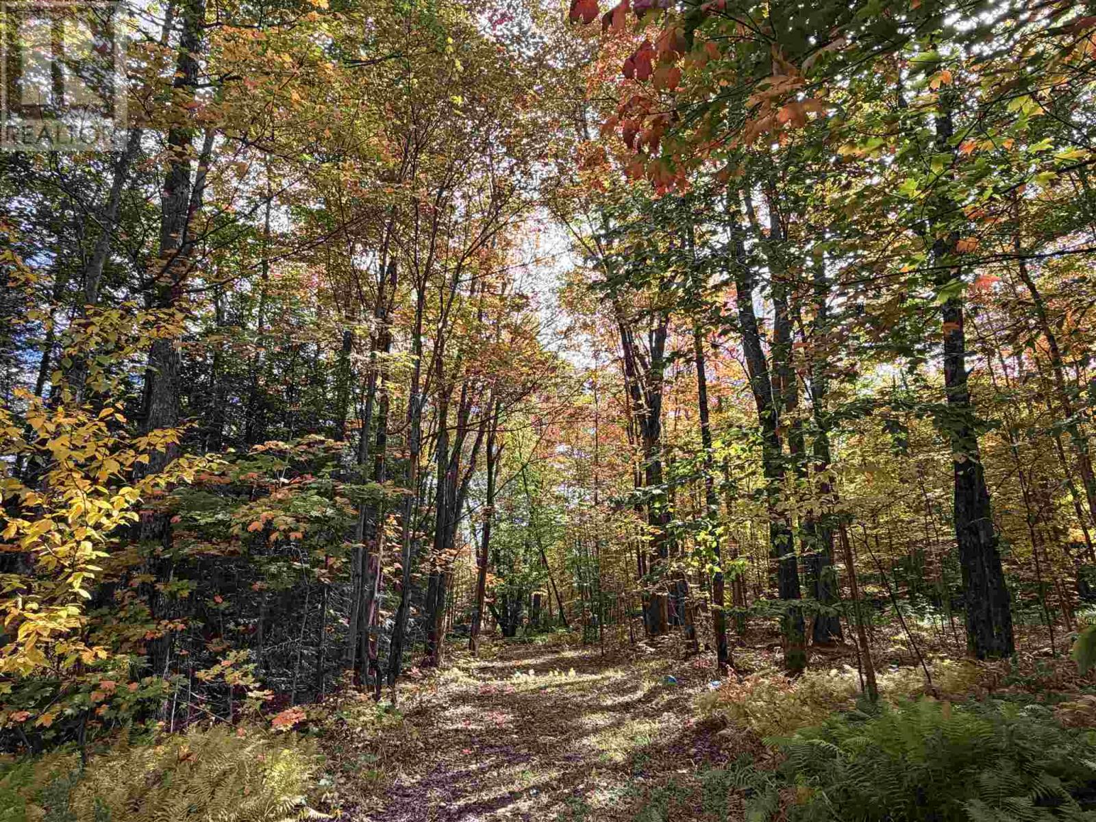 144 Landslide RD - Image 13