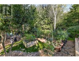 12 Stover Street S, Norwich, ON N0J1P0 Photo 32