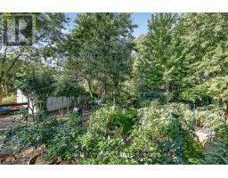 12 Stover Street S, Norwich, ON N0J1P0 Photo 43