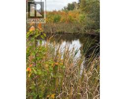 1285 Route 10, Noonan, NB E3A7H7 Photo 32