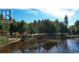 1157b Turners Road, Madawaska Valley, ON K0J2A0 Photo 32
