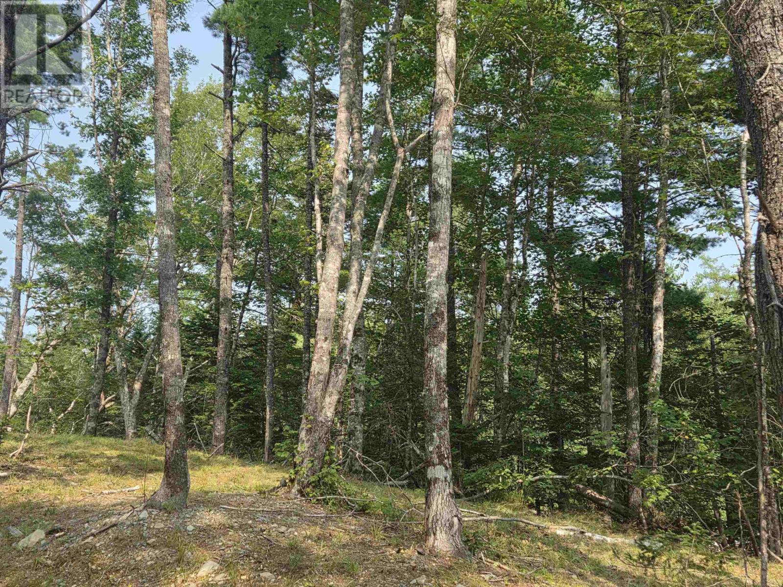 Property 8 of 20 of Highway 103