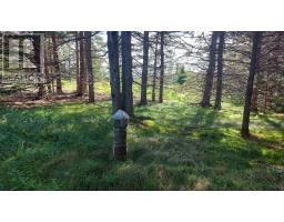 Michael Vogt Dr, Hay Cove, NS B0E3B0 Photo 15