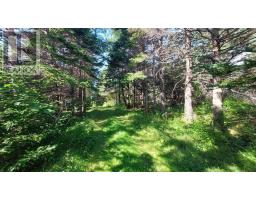 Michael Vogt Dr, Hay Cove, NS B0E3B0 Photo 14