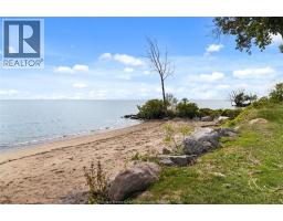 614 Peter St, Kingsville, ON N9Y3G8 Photo 25