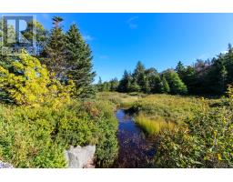 311 Conception Bay Highway thumbnail 6