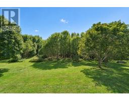 184 Rivington Street, Ottawa, ON K0A1L0 Photo 32