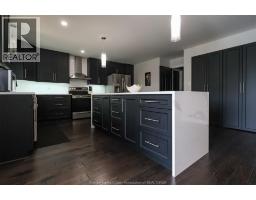 Laundry room - 369 Pinehurst Drive, Lakeshore, ON N8L0V8 Photo 14