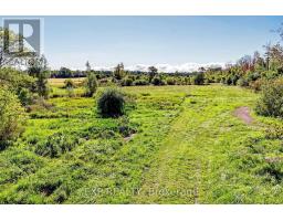 27887 Highway 48 Road, Georgina, ON L0E1R0 Photo 30