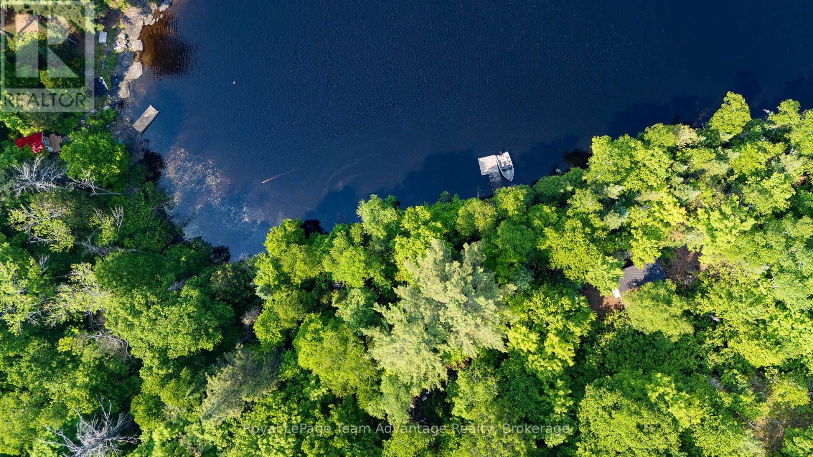 438 Shawanaga Lake — photo 16