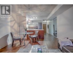 419 - 560 King Street W, Toronto, ON M5V1M3 Photo 14