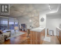 419 - 560 King Street W, Toronto, ON M5V1M3 Photo 18
