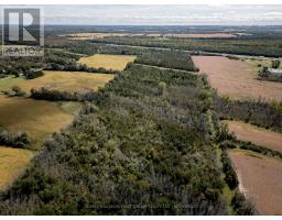 00 Palace Road, Greater Napanee, ON K7R3L2 Photo 11