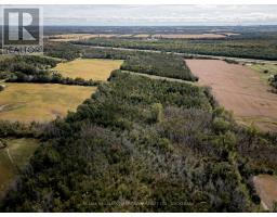 00 Palace Road, Greater Napanee, ON K7R3L2 Photo 12