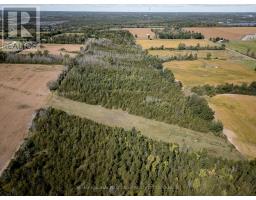 00 Palace Road, Greater Napanee, ON K7R3L2 Photo 20