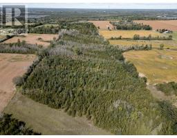 00 Palace Road, Greater Napanee, ON K7R3L2 Photo 21