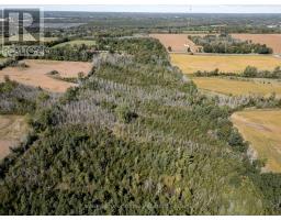 00 Palace Road, Greater Napanee, ON K7R3L2 Photo 22