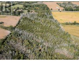 00 Palace Road, Greater Napanee, ON K7R3L2 Photo 23