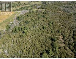 00 Palace Road, Greater Napanee, ON K7R3L2 Photo 34