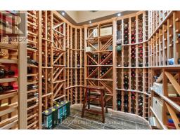 243 Rumble Avenue, Richmond Hill, ON L4C4G5 Photo 25
