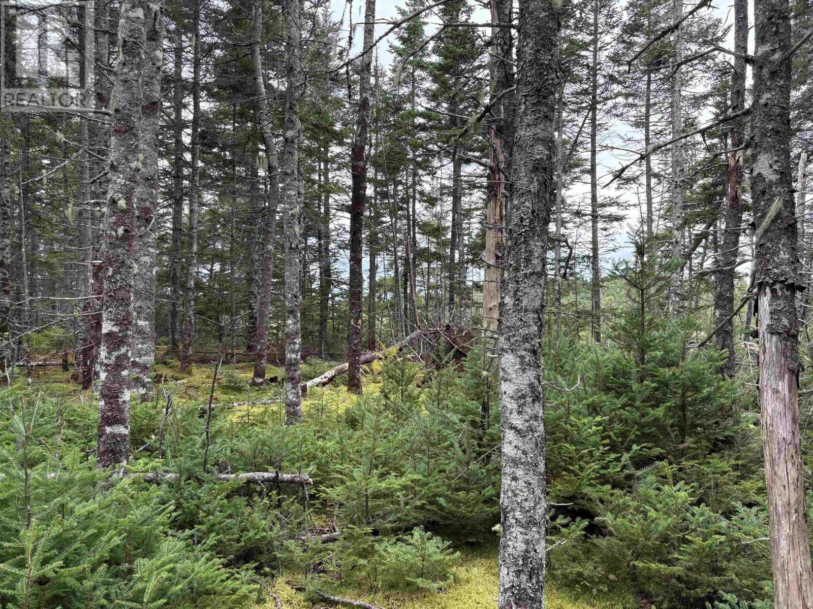 Property 21 of 24 of Lot Highway 4