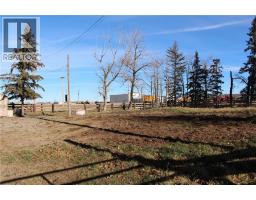 #27 Highway, Rural Mountain View County, AB T0M1P0 Photo 8