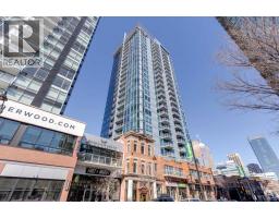 1401, 215 13 Avenue SW - photo 21