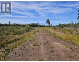 856 Charters Settlement Road, photo 3