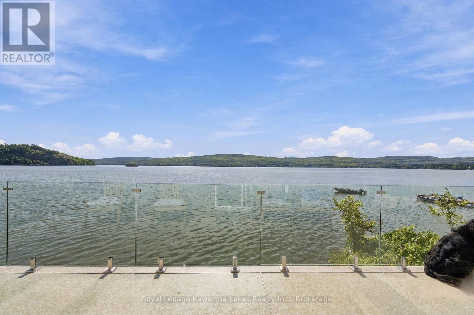 51 BUELOW ROAD - 39
