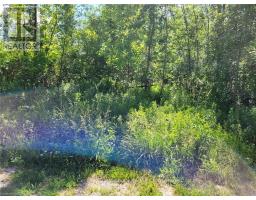 11325 26 Highway, Collingwood, ON L9Y5H8 Photo 6