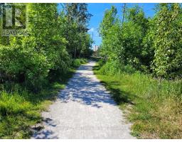 11325 26 Highway, Collingwood, ON L9Y5H8 Photo 9