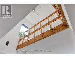 18 Virtue Street, Toronto, ON M6R1C2 Photo 24