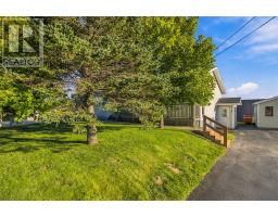 107 Doyles Road thumbnail 35