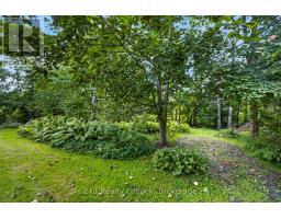 3 Basswood Street, Kawartha Lakes, ON K0L2W0 Photo 38
