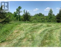 00 Buttermilk Falls Road, Greater Napanee, ON K0K2W0 Photo 10