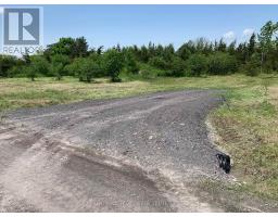 00 Buttermilk Falls Road, Greater Napanee, ON K0K2W0 Photo 6