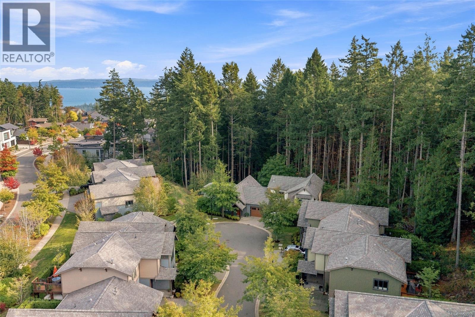 100 Apex Ridge Pl - Image 12