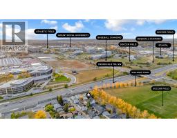 2437 52 Avenue Sw, Calgary, AB T3E1K5 Photo 46